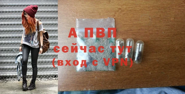 spice Сатка
