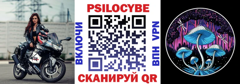 нарко площадка какой сайт  Судак  Псилоцибиновые грибы мицелий 